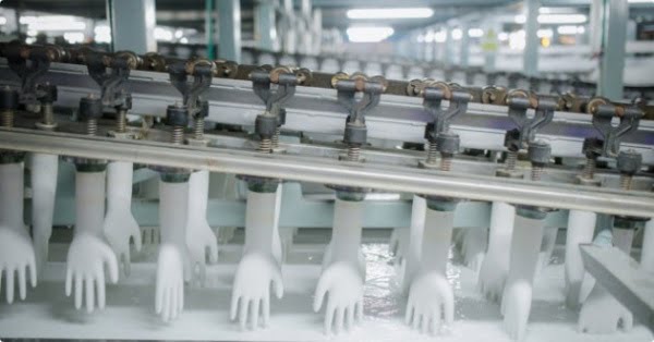 Eco Gloves Plastic Gloves Manufacturer