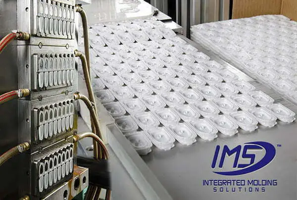 IMS Company Low Volume Plastic Manufacturer