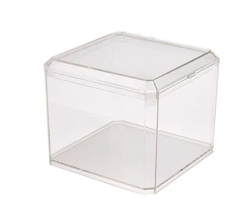 Pioneer Plastics Plastic Box Manufacturer