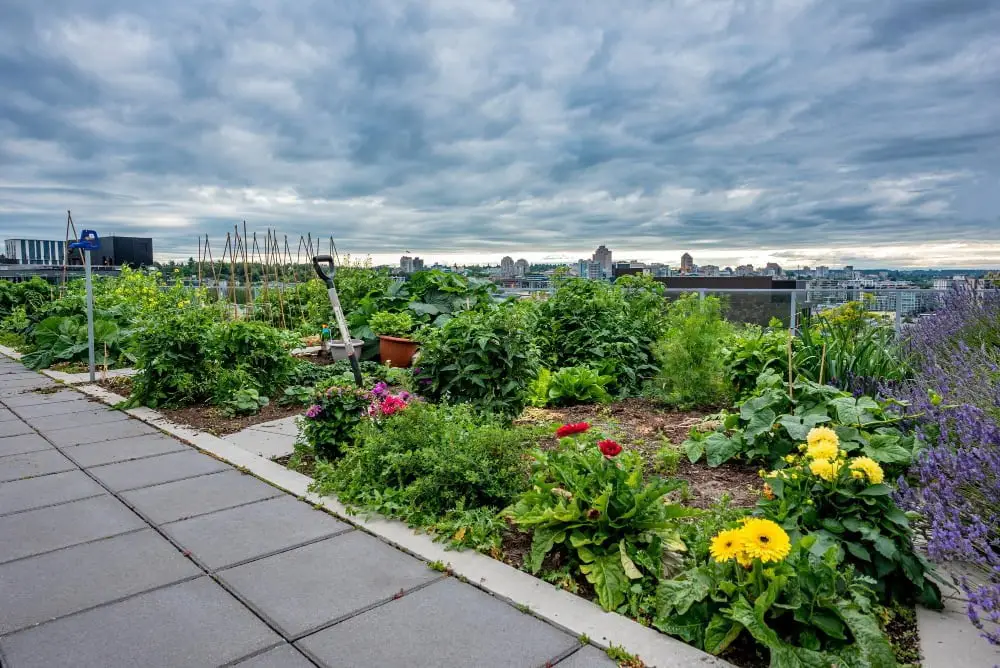 Rooftop Gardens