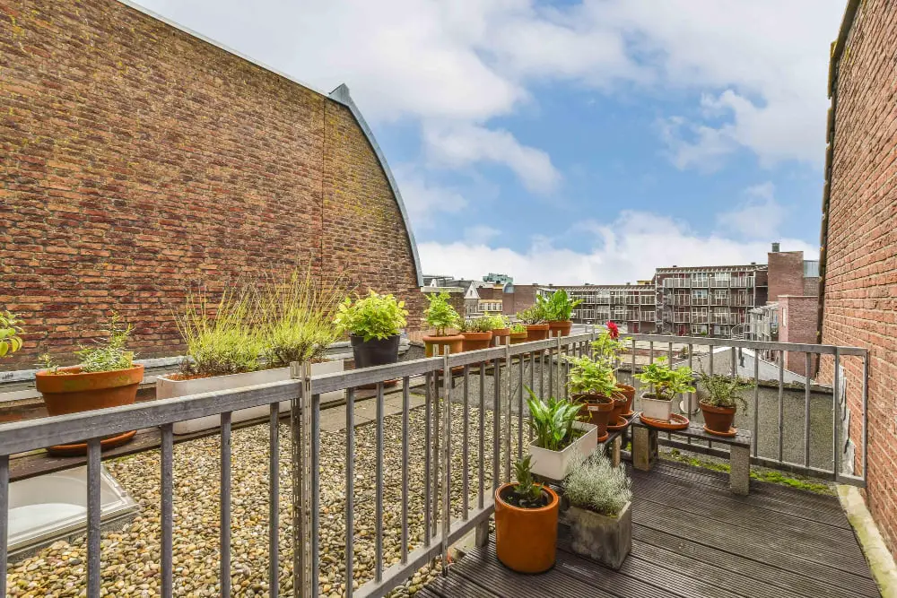 Rooftop Terrace Gardens Brick House