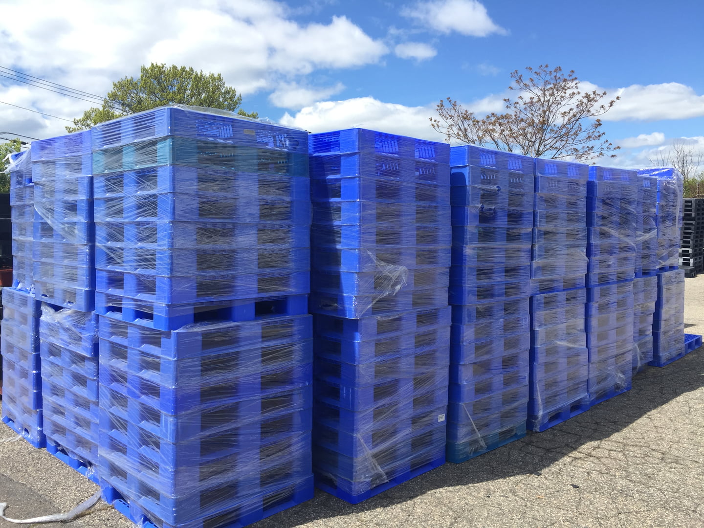 The Top 38 Plastic Recycling Companies