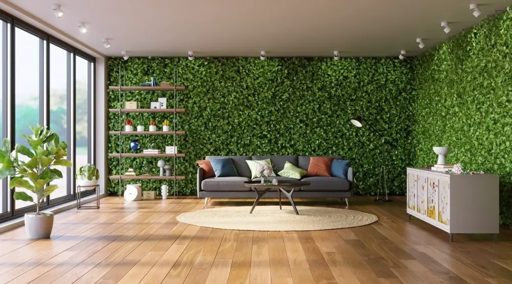 house Green Walls