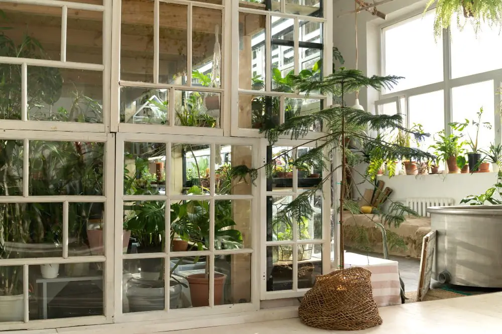 house Greenhouse Attach