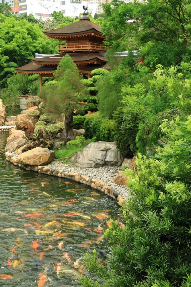 Koi Pond