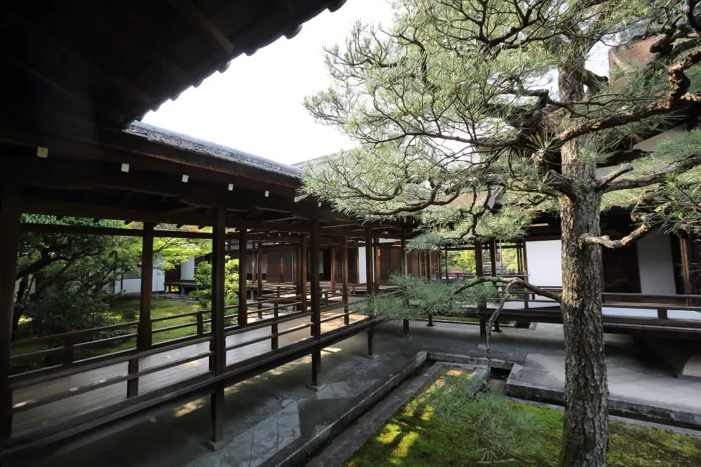 Sunken Courtyard Japanese