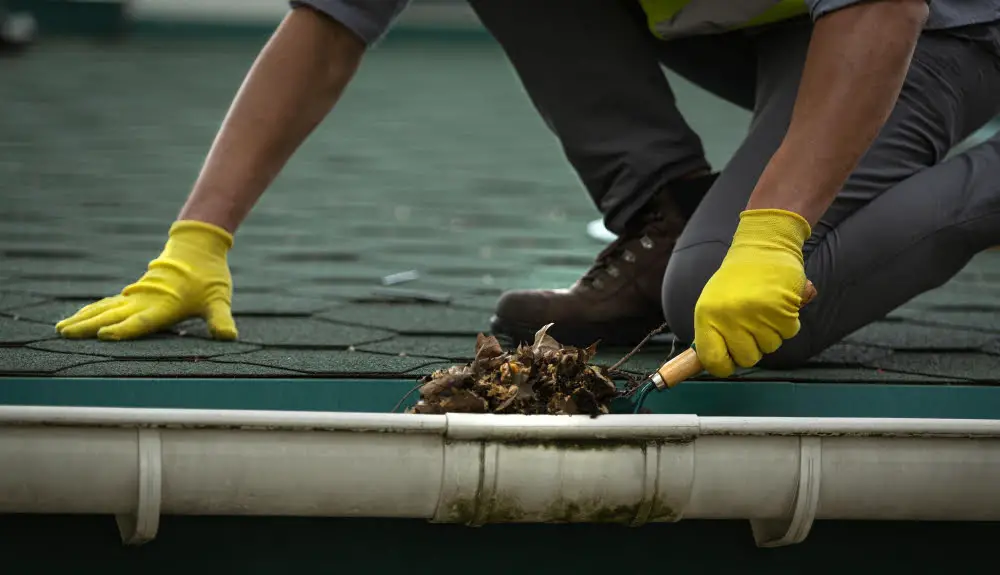 Gutter cleaning