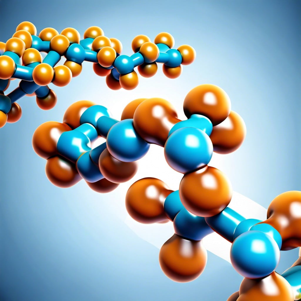 common types of carbohydrate polymers